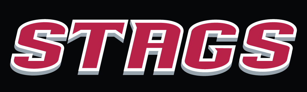 Fairfield Stags 2002-Pres Wordmark Logo v2 diy iron on heat transfer